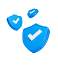 Cyber Security Icon